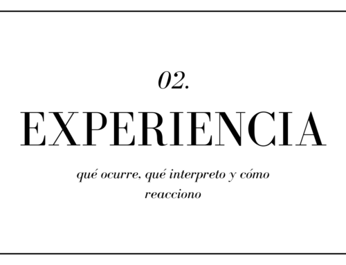 Experiencia